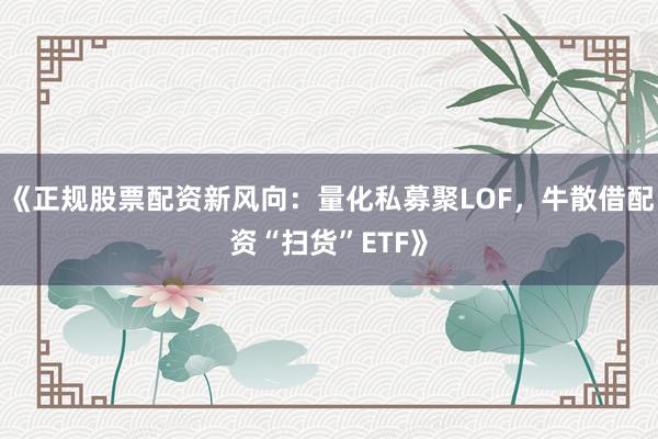 《正规股票配资新风向：量化私募聚LOF，牛散借配资“扫货”ETF》