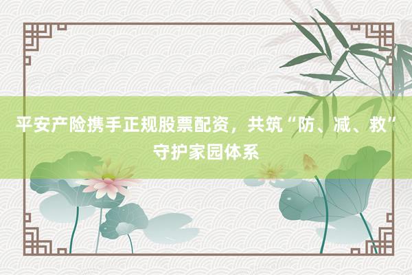 平安产险携手正规股票配资，共筑“防、减、救”守护家园体系