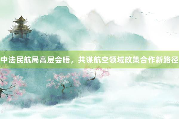 中法民航局高层会晤，共谋航空领域政策合作新路径