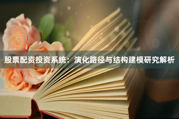 股票配资投资系统：演化路径与结构建模研究解析