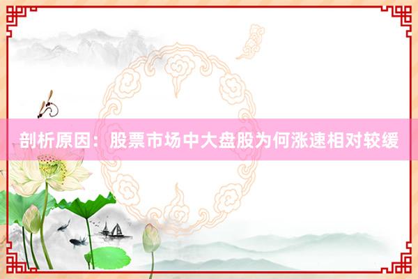 剖析原因：股票市场中大盘股为何涨速相对较缓