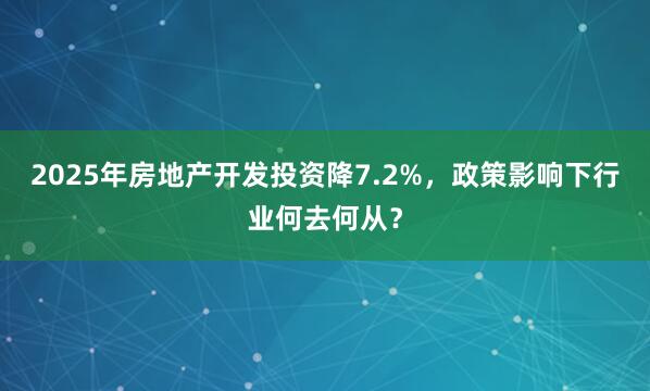 2025年房地产开发投资降7.2%，政策影响下行业何去何从？
