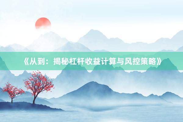 《从到：揭秘杠杆收益计算与风控策略》