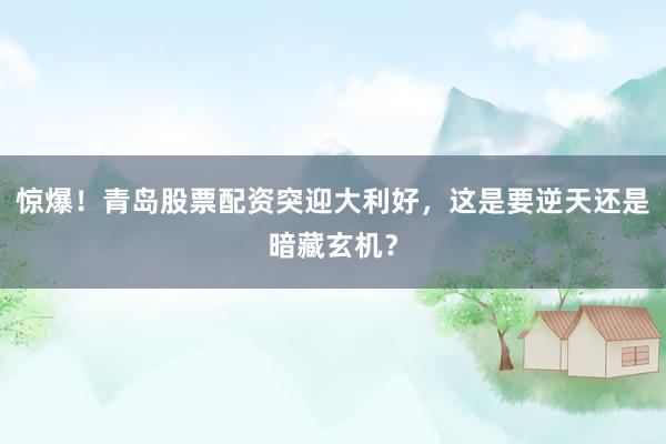 惊爆！青岛股票配资突迎大利好，这是要逆天还是暗藏玄机？