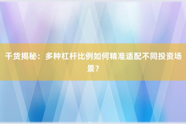 干货揭秘：多种杠杆比例如何精准适配不同投资场景？